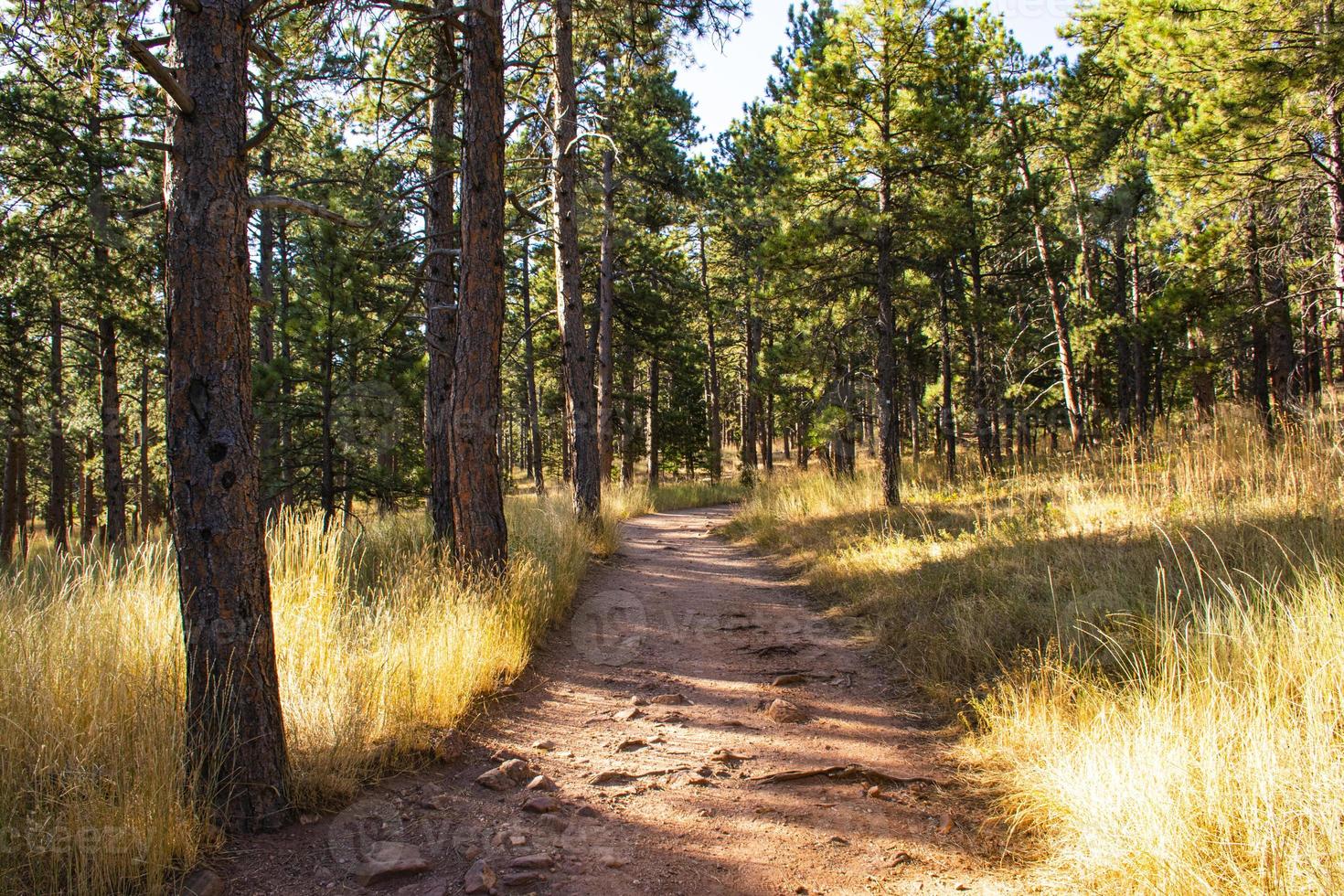 Camino en el parque Chautauqua en Boulder, Colorado foto