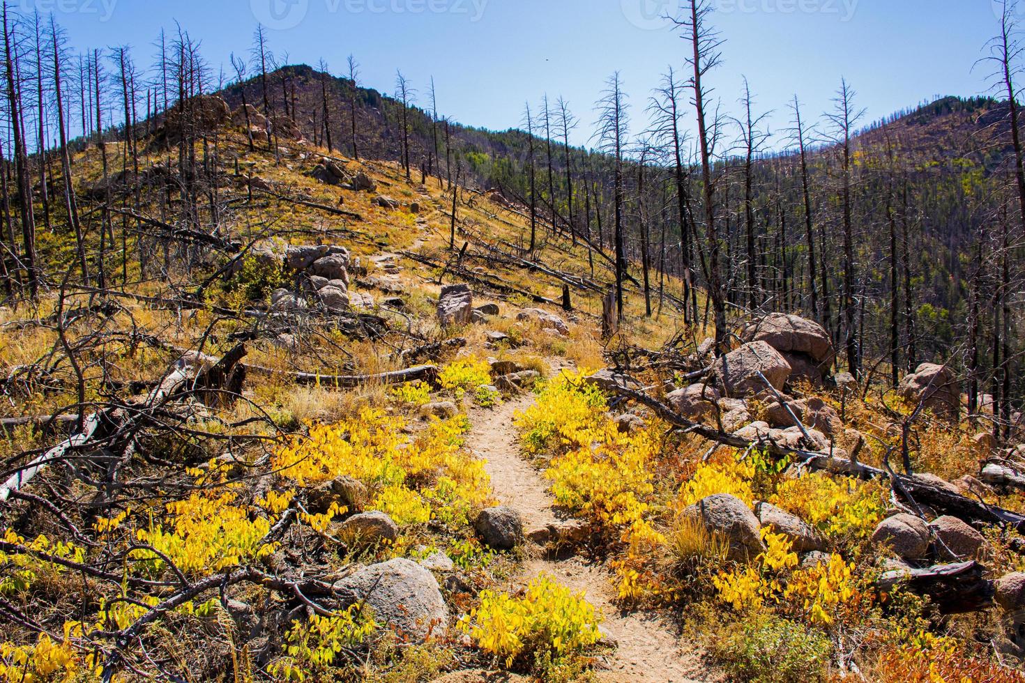 Path on the Chautauqua Park in Boulder, Colorado photo