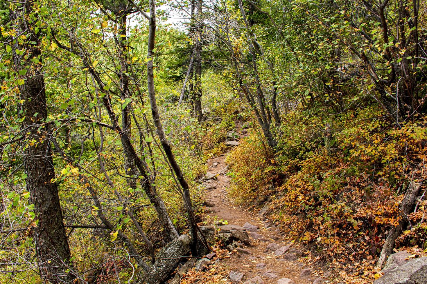 Camino en el parque Chautauqua en Boulder, Colorado foto