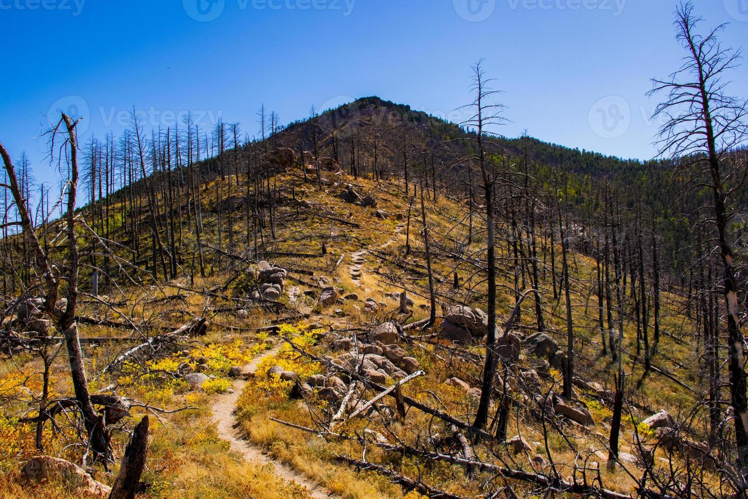 Path on the Chautauqua Park in Boulder, Colorado photo