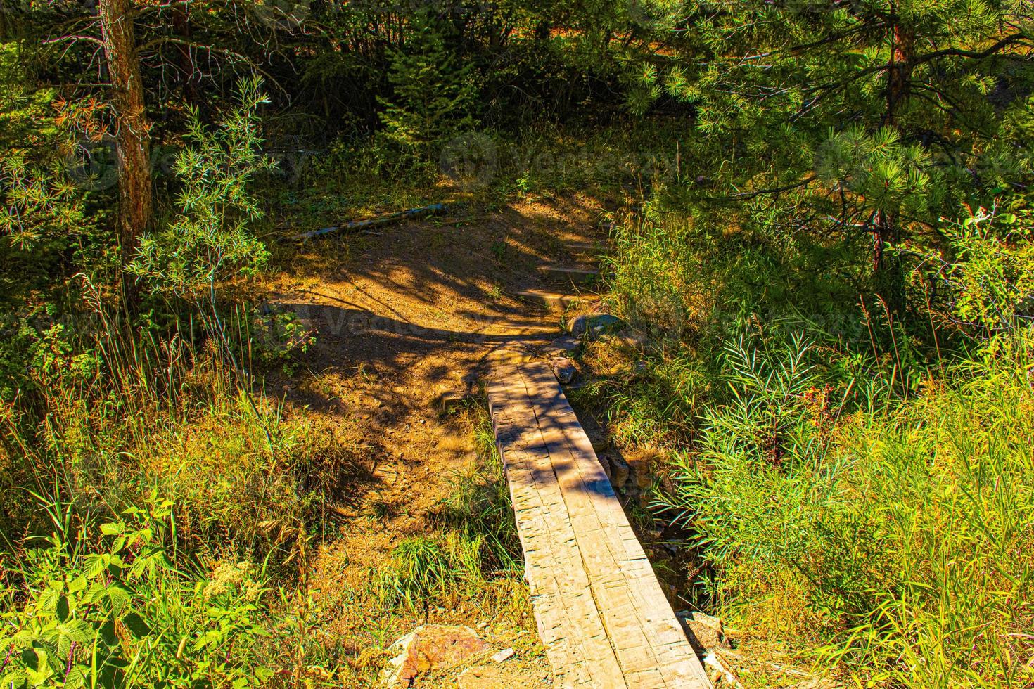 Path in the Chautauqua Park in Boulder, Colorado photo