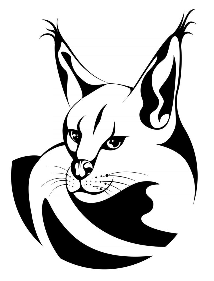 imagen vectorial de un caracal en un círculo vector