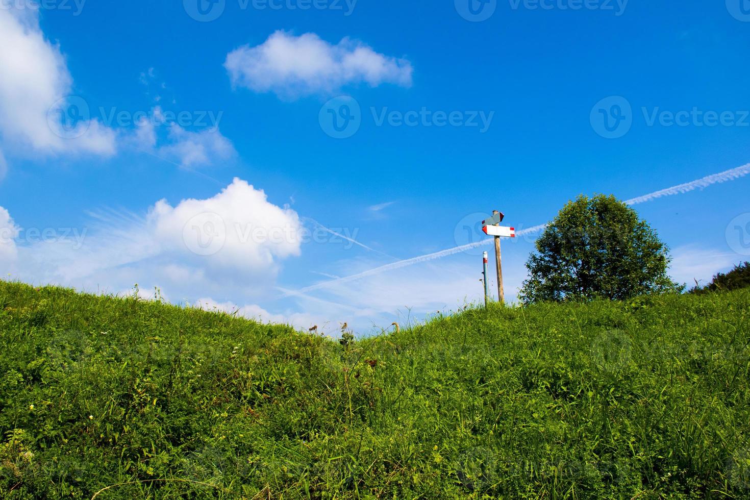 Blue sky and green path photo