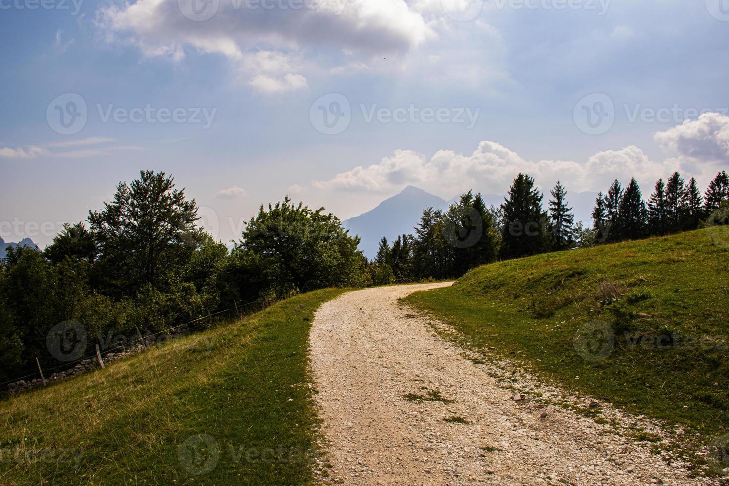 camino alpino entre los verdes pastos del valle de posina foto