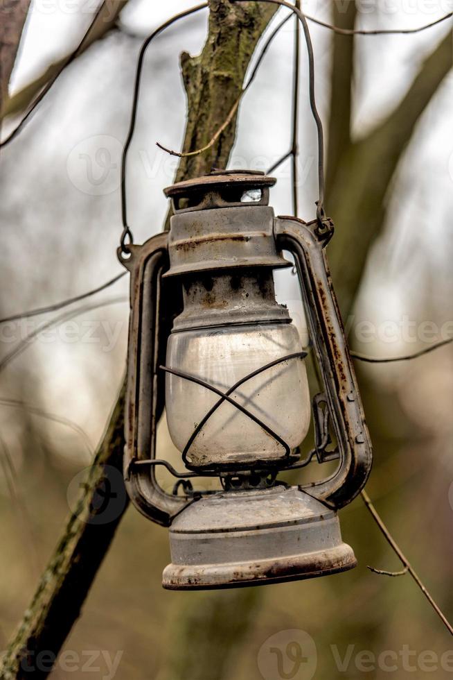 Lámpara de queroseno oxidado cuelga de una rama foto