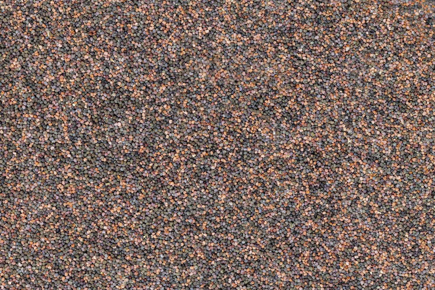 Background of evenly distributed poppy seeds in different colors photo