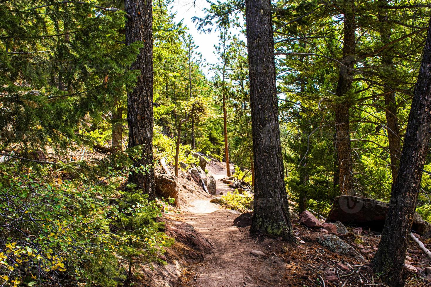 camino en el parque chautauqua en boulder, colorado foto