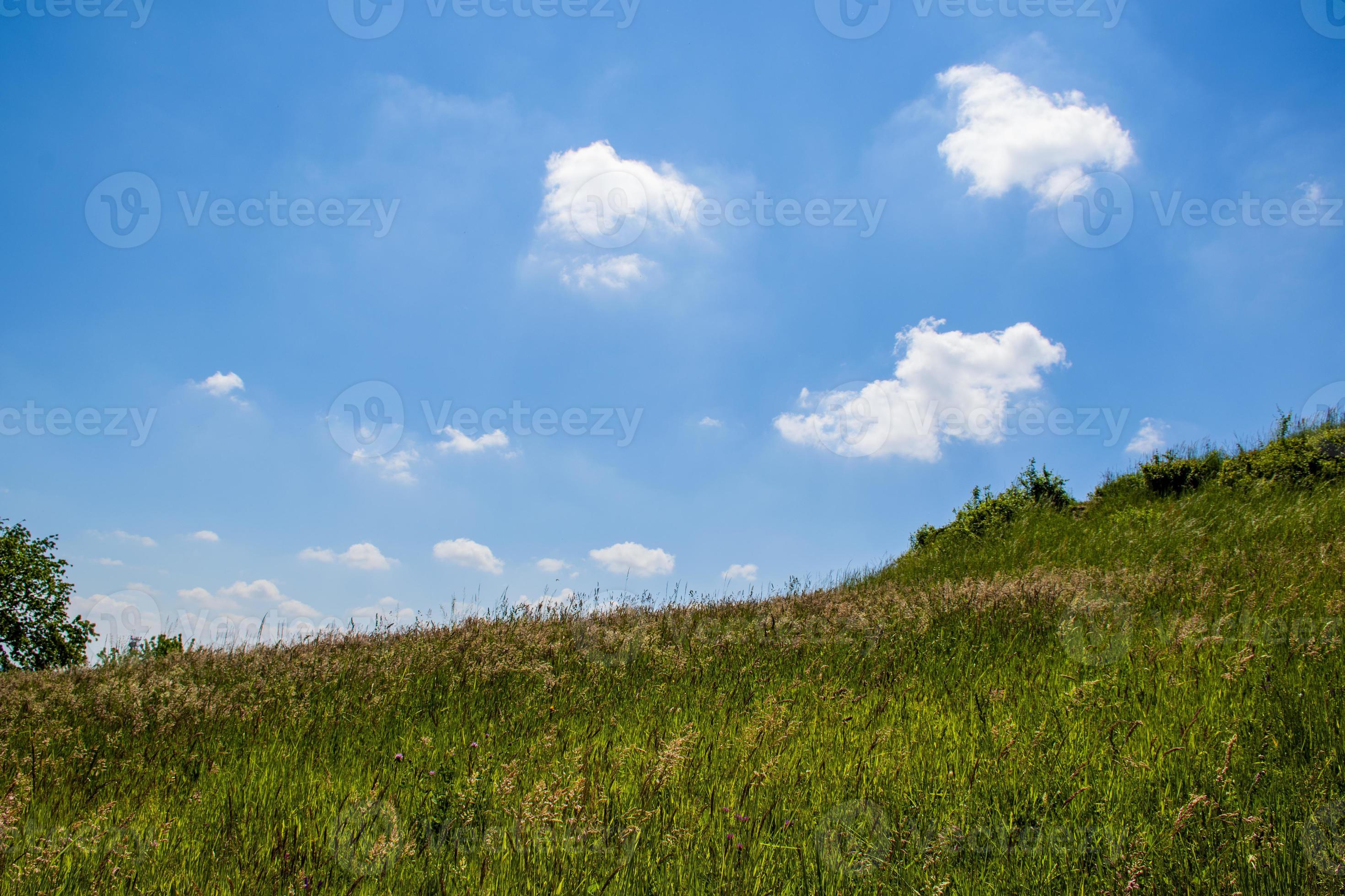 Green meadow and blue sky photo