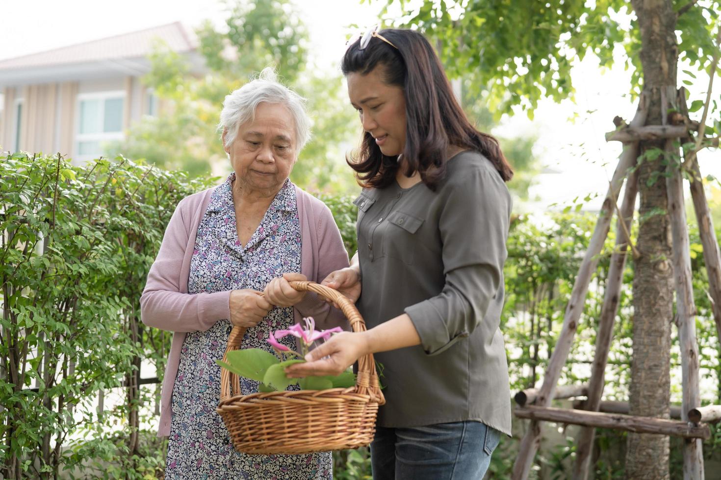 anciana asiática mayor o anciana cuidando el jardín, trabajo en casa, pasatiempo para relajarse y hacer ejercicio con feliz foto