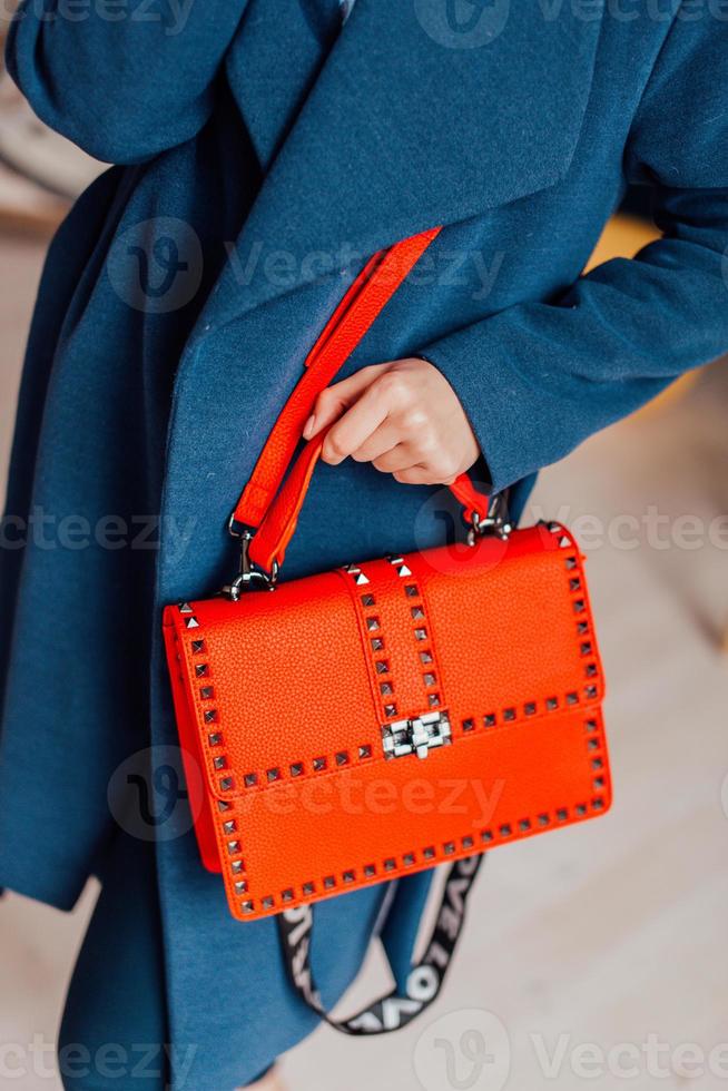 Beautiful bags compliment the style of a beautifully dressed girl photo