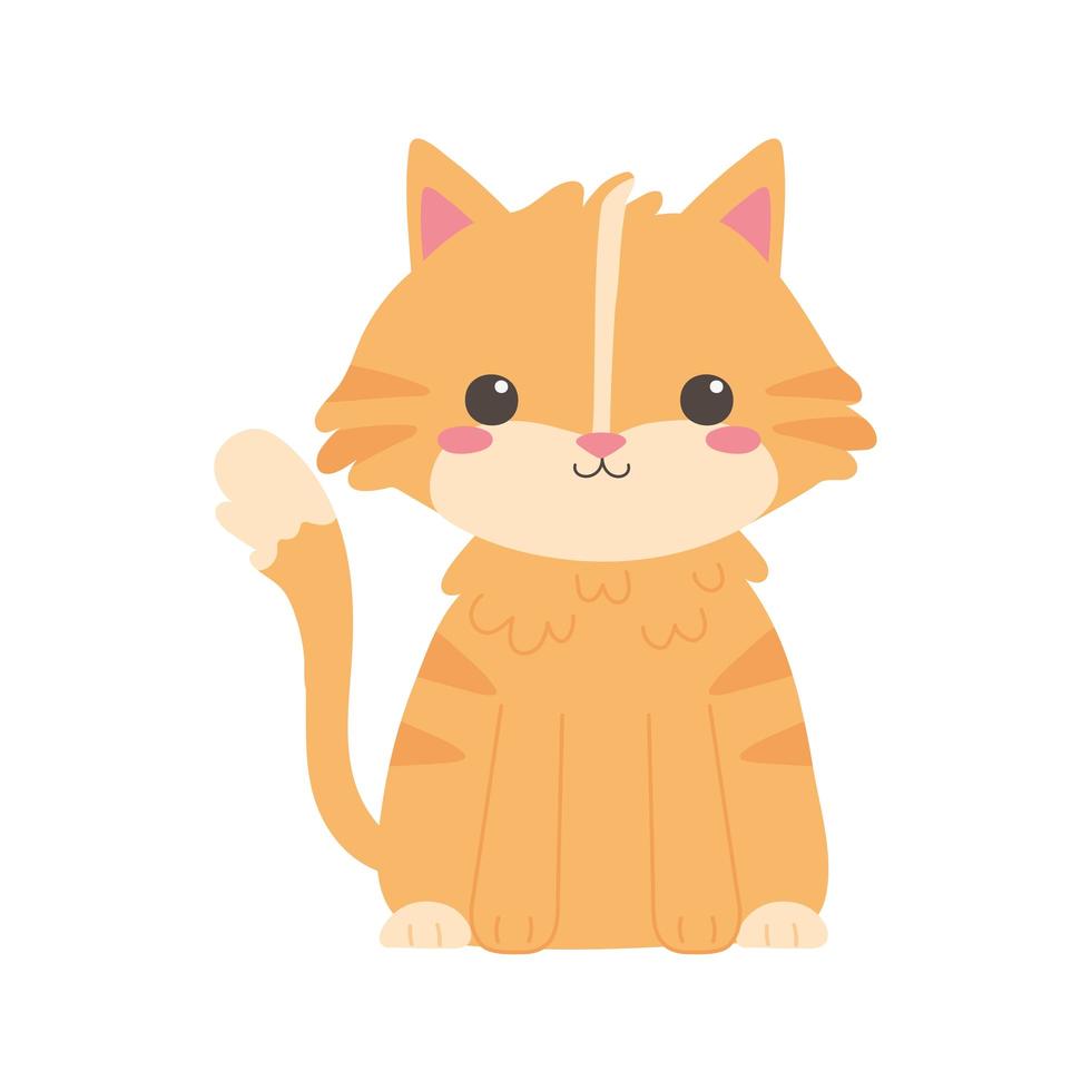 lindo gatito vector