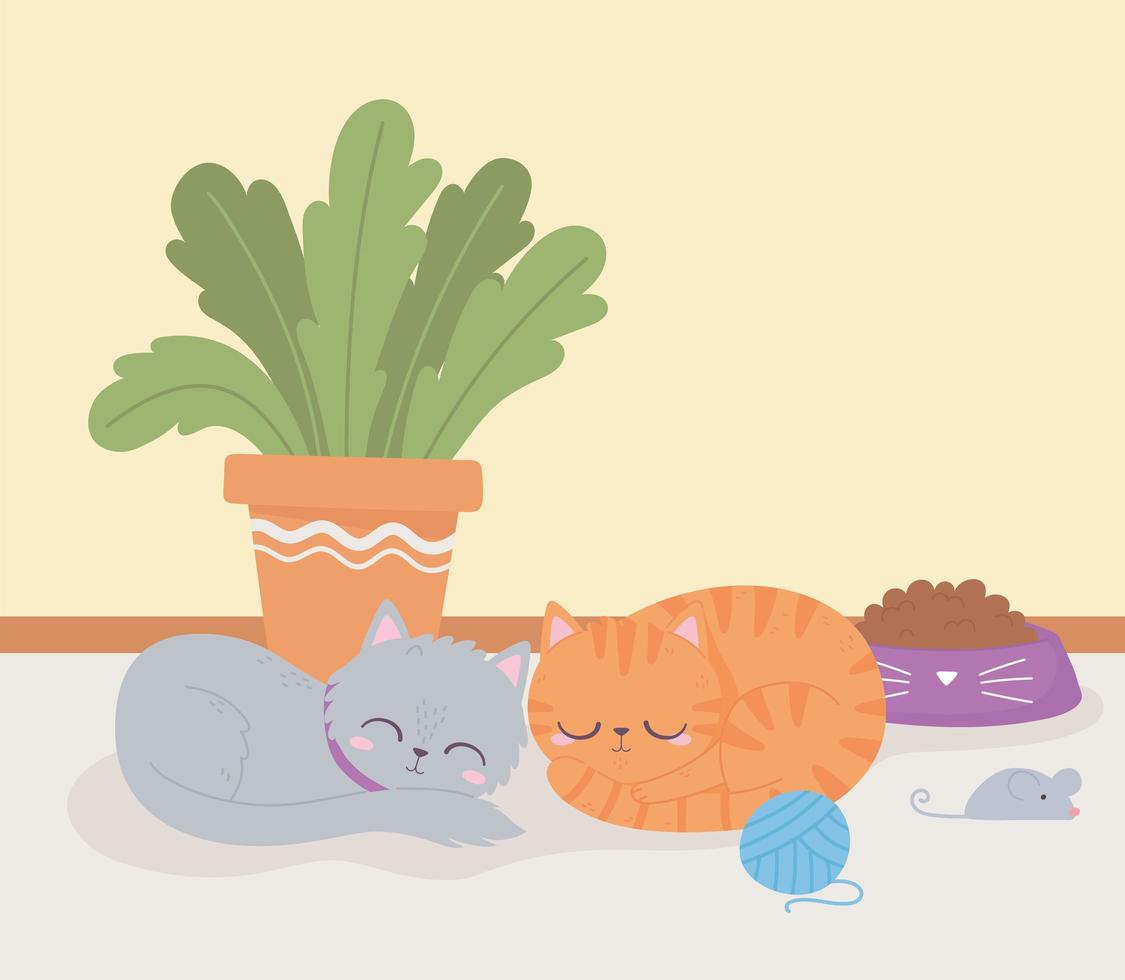cute cats resting room with plant and toys pets vector