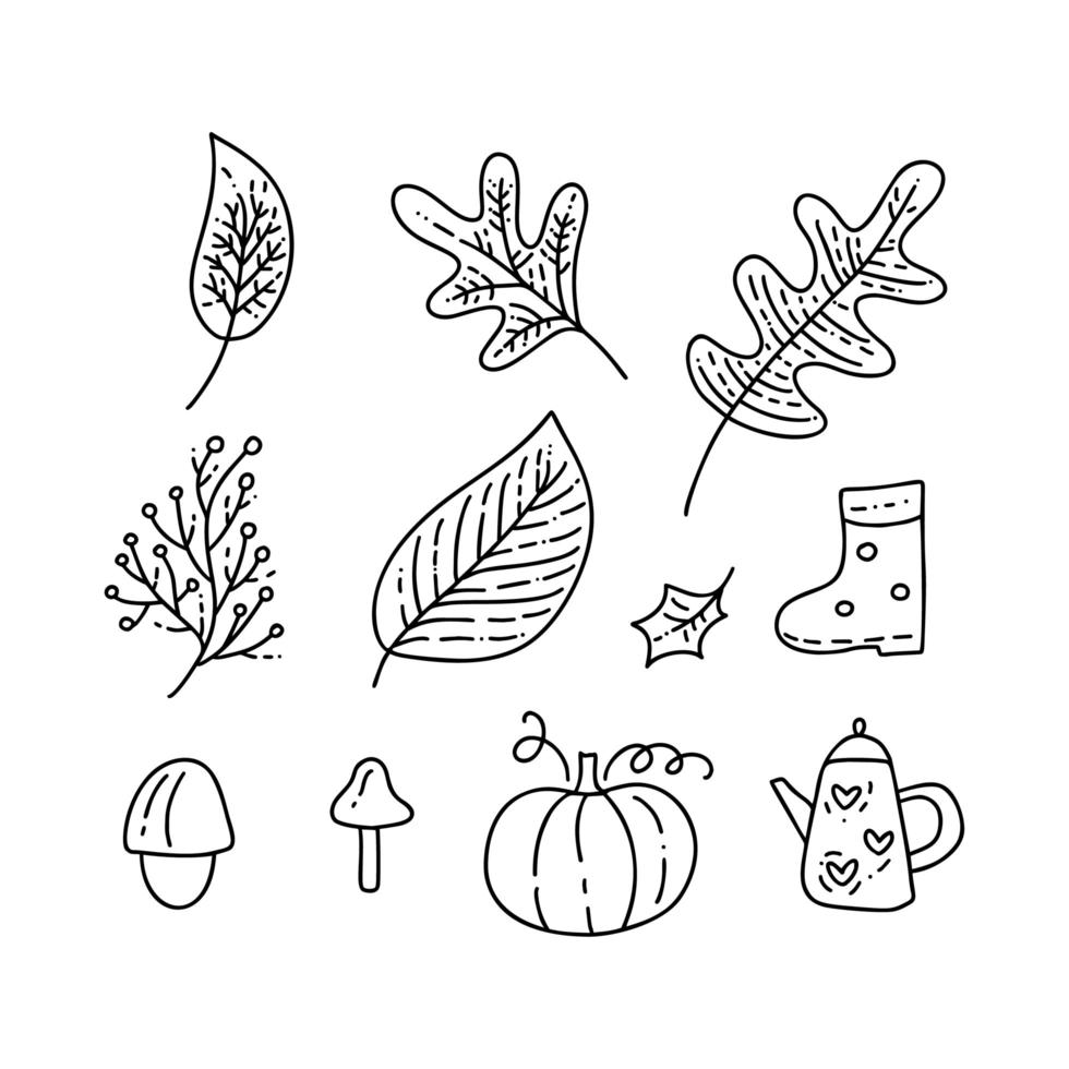 conjunto de elementos florales de vector monoline doodle. diseño gráfico de la colección de otoño. hierbas, hojas, botas, taza y calabaza. decoración de otoño moderna de acción de gracias dibujada a mano