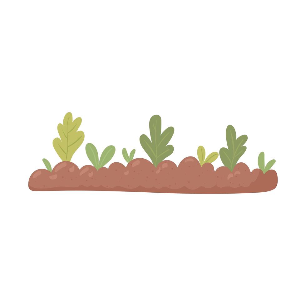 agriculture planting vegetables vector