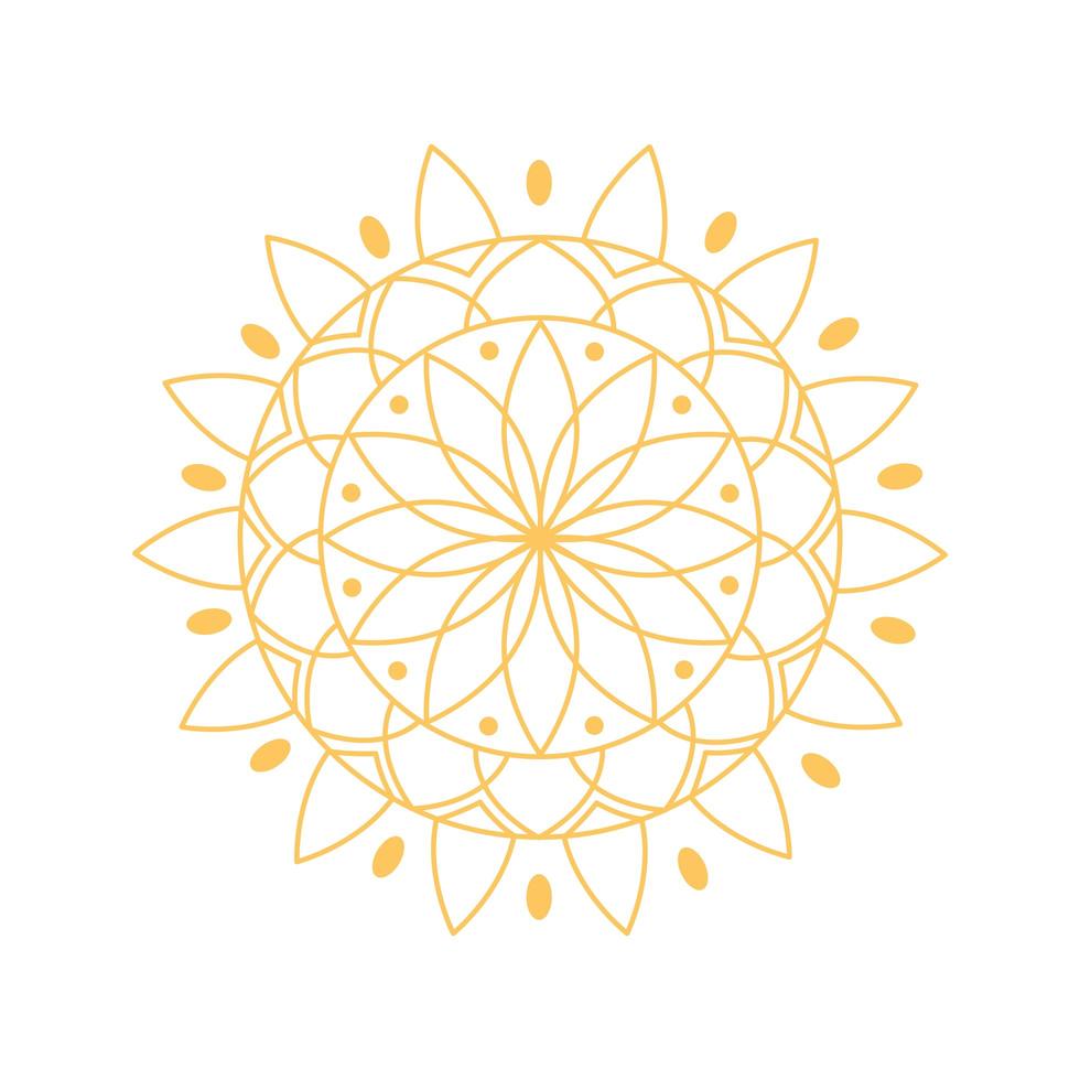 golden mandala floral vector