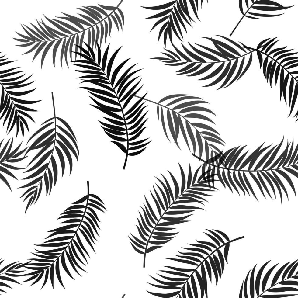 hojas de palmeras tropicales de fondo transparente vector