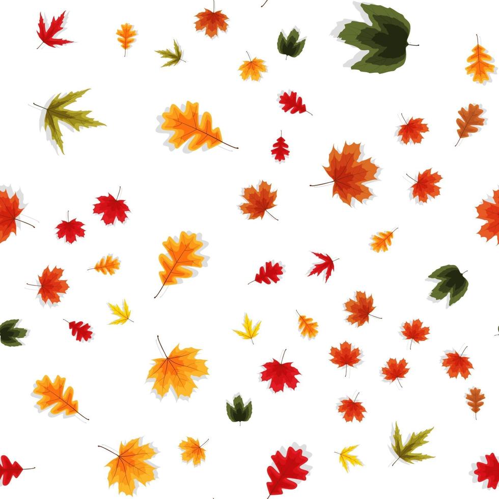 otoño cayendo hojas de fondo transparente vector