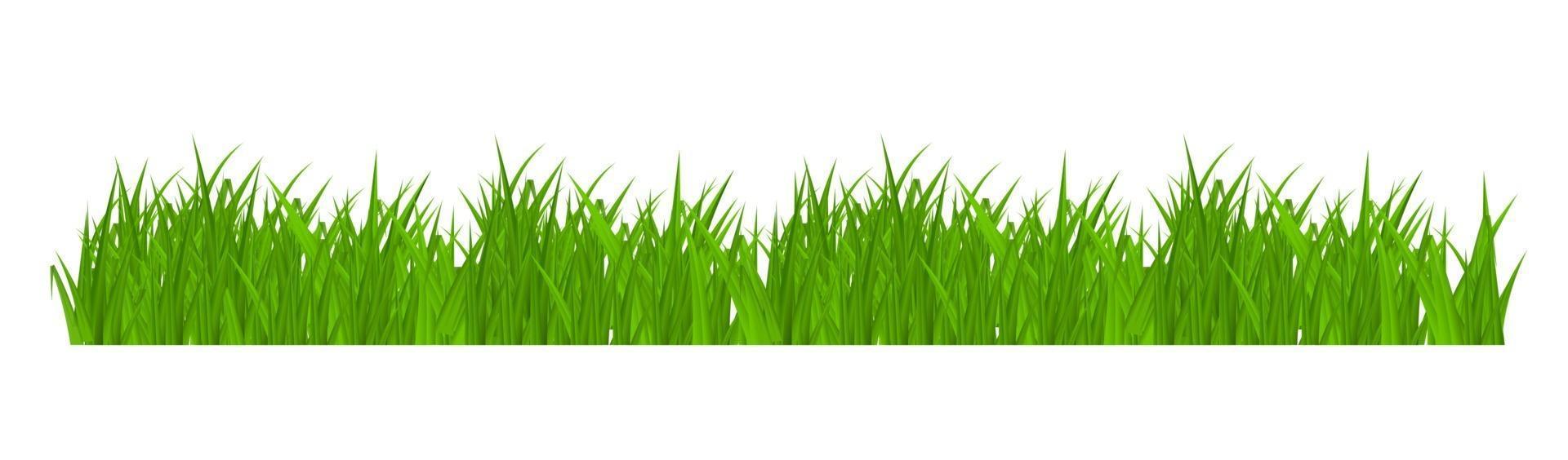 Grass and border greeting card decoration element isolated on White Background vector