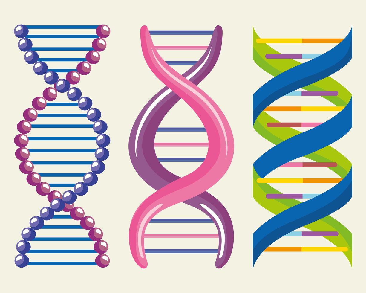 adn tres moléculas vector