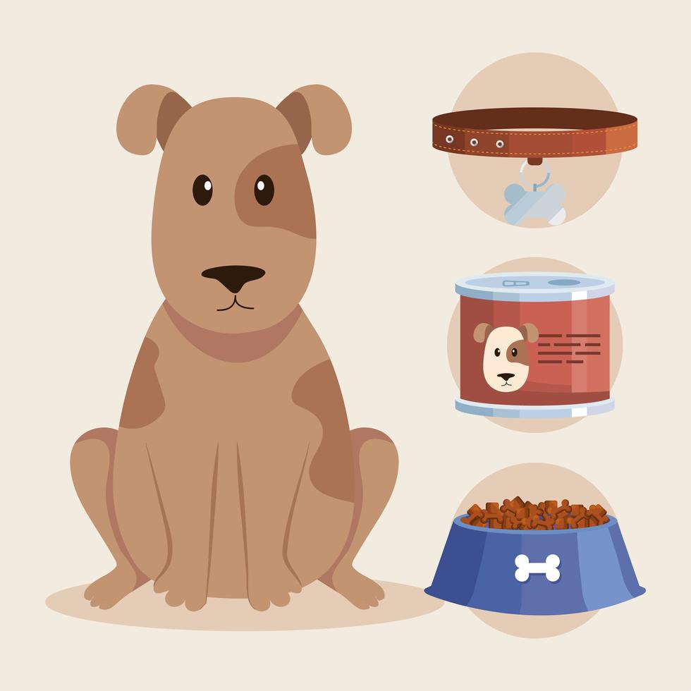 iconos de tienda de perros y mascotas vector