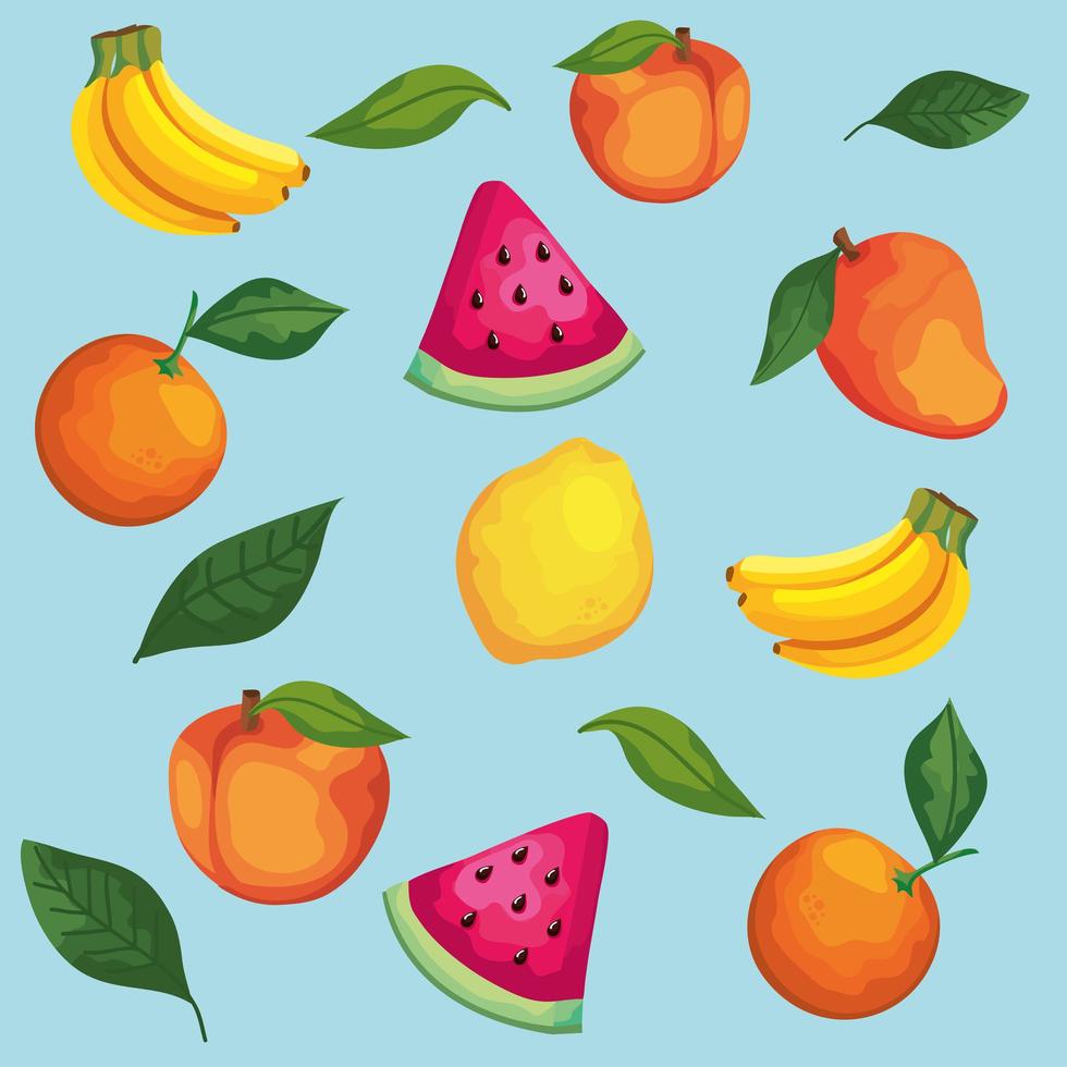 fruits and leafs vector