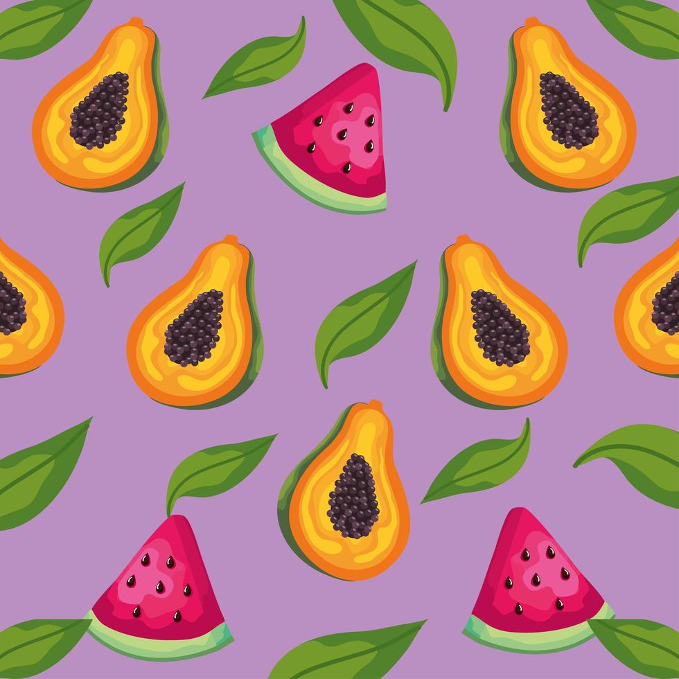 leafs and fruits vector