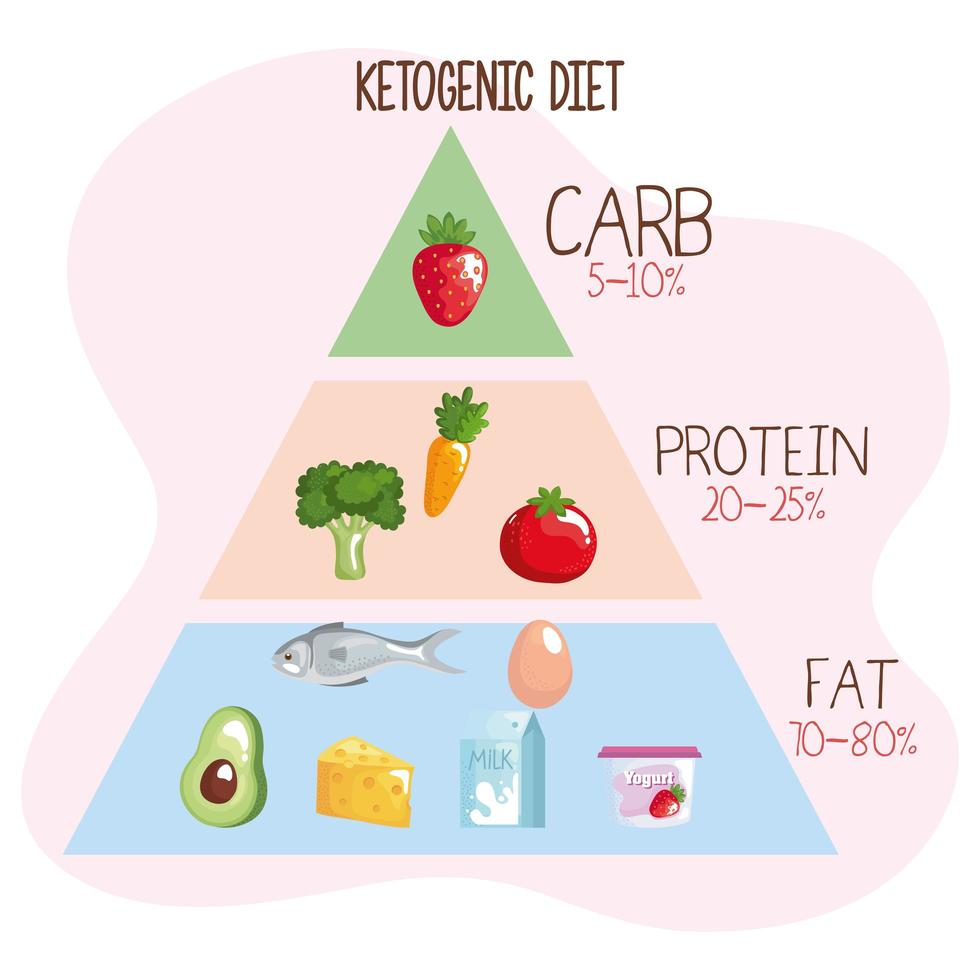 pirámide de dieta cetogénica vector