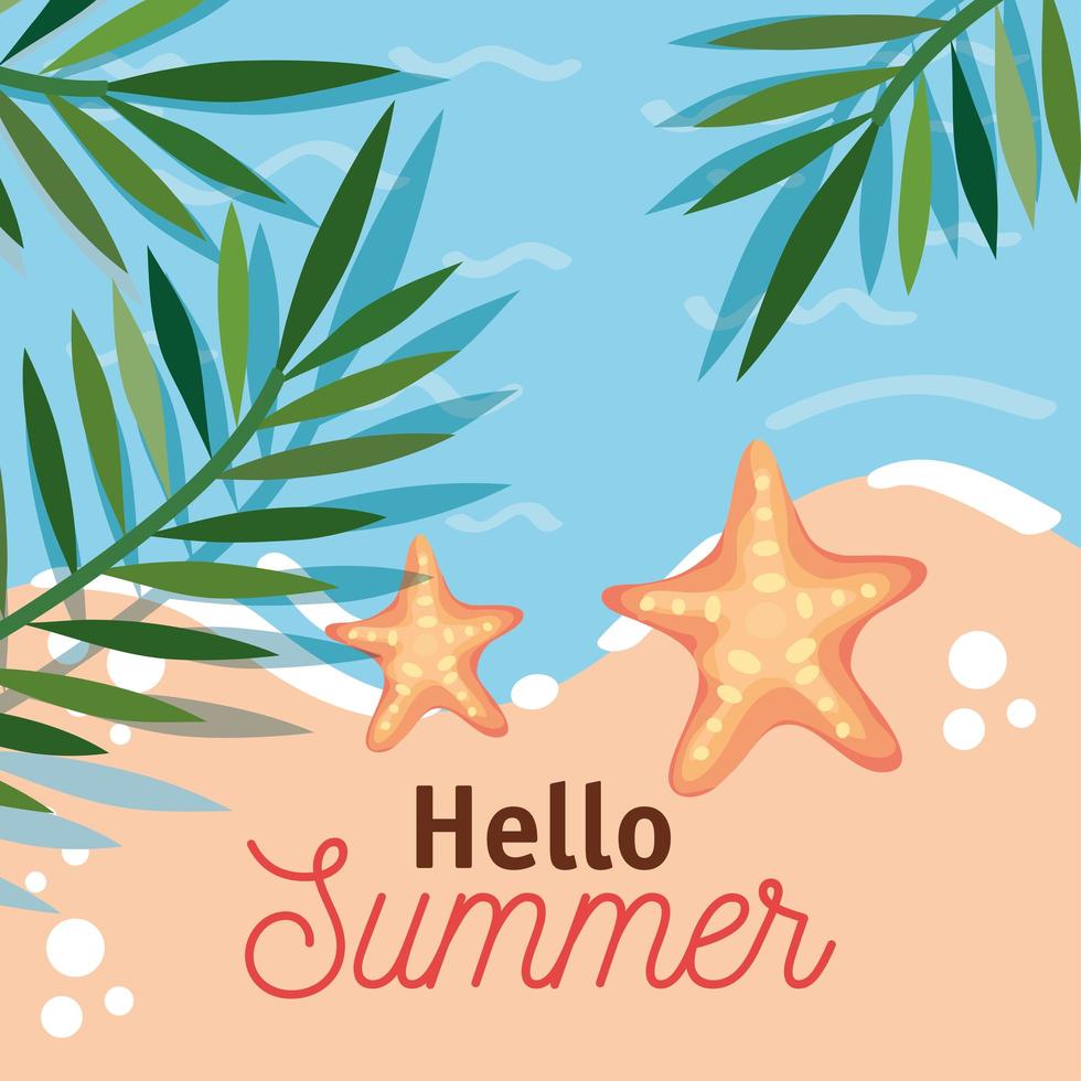 hellow summer lettering vector