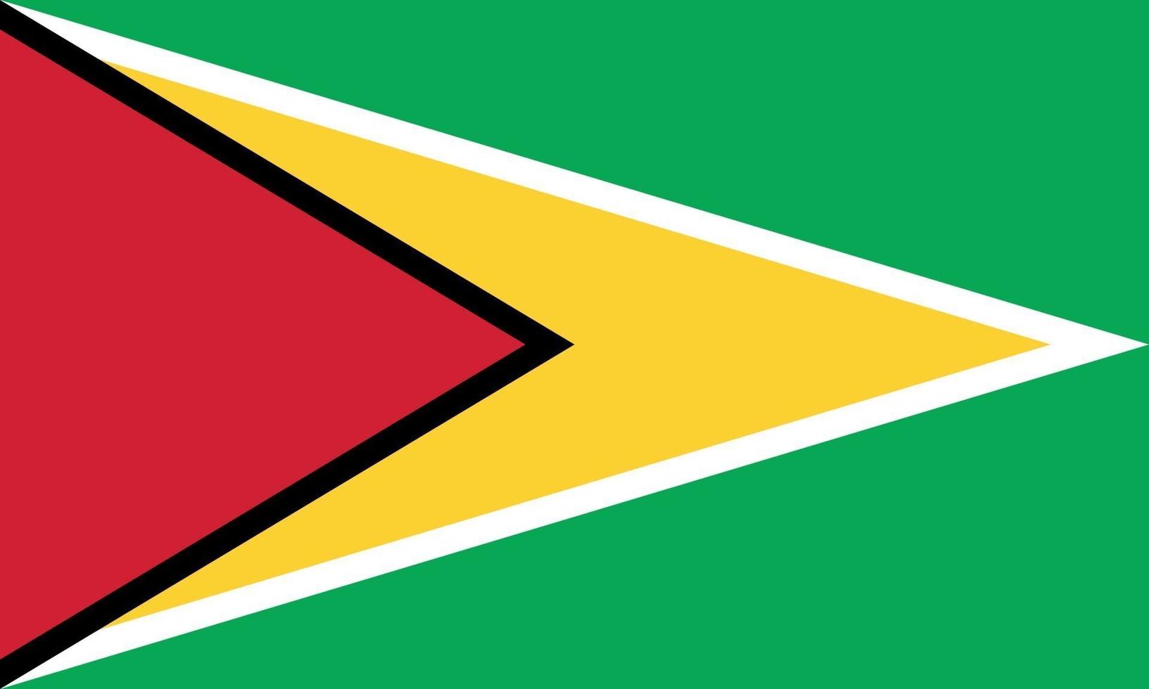 vector illustration of Guyana flag