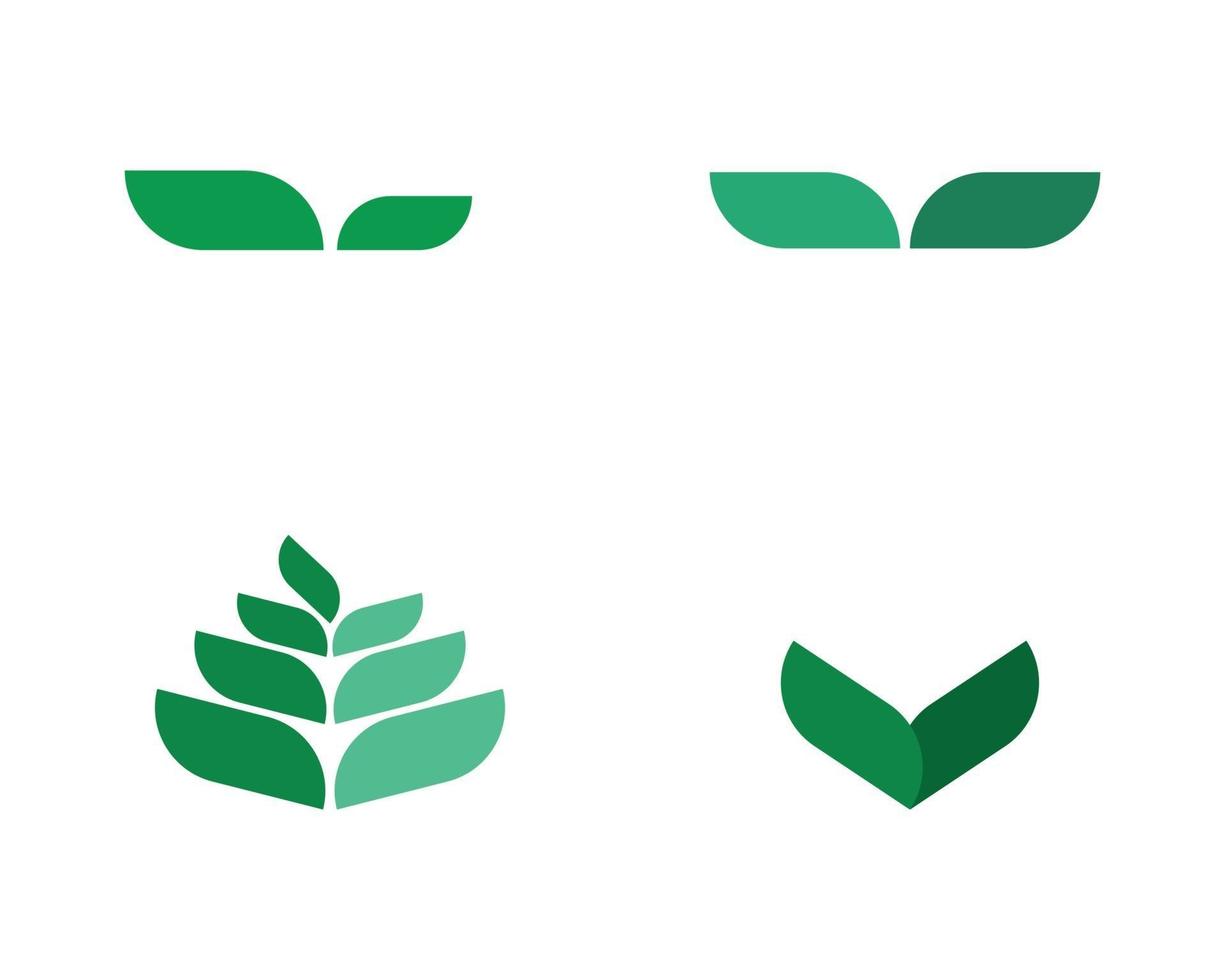 diseño de logotipo de vector de hoja de árbol concepto ecológico