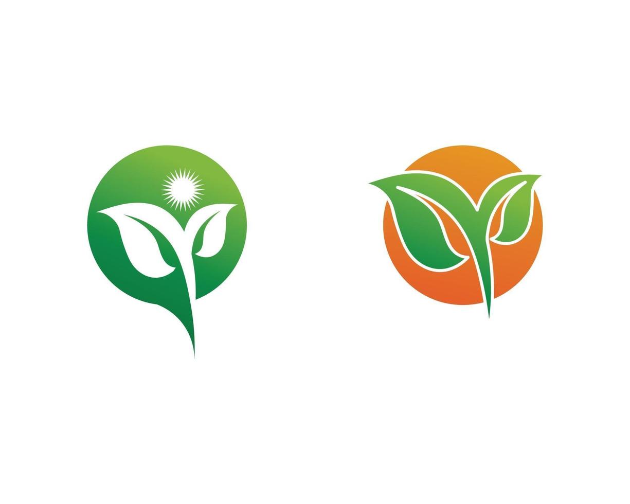 diseño de logotipo de vector de hoja de árbol logotipo de planta de naturaleza para logotipo de naturaleza e icono de diseño vectorial