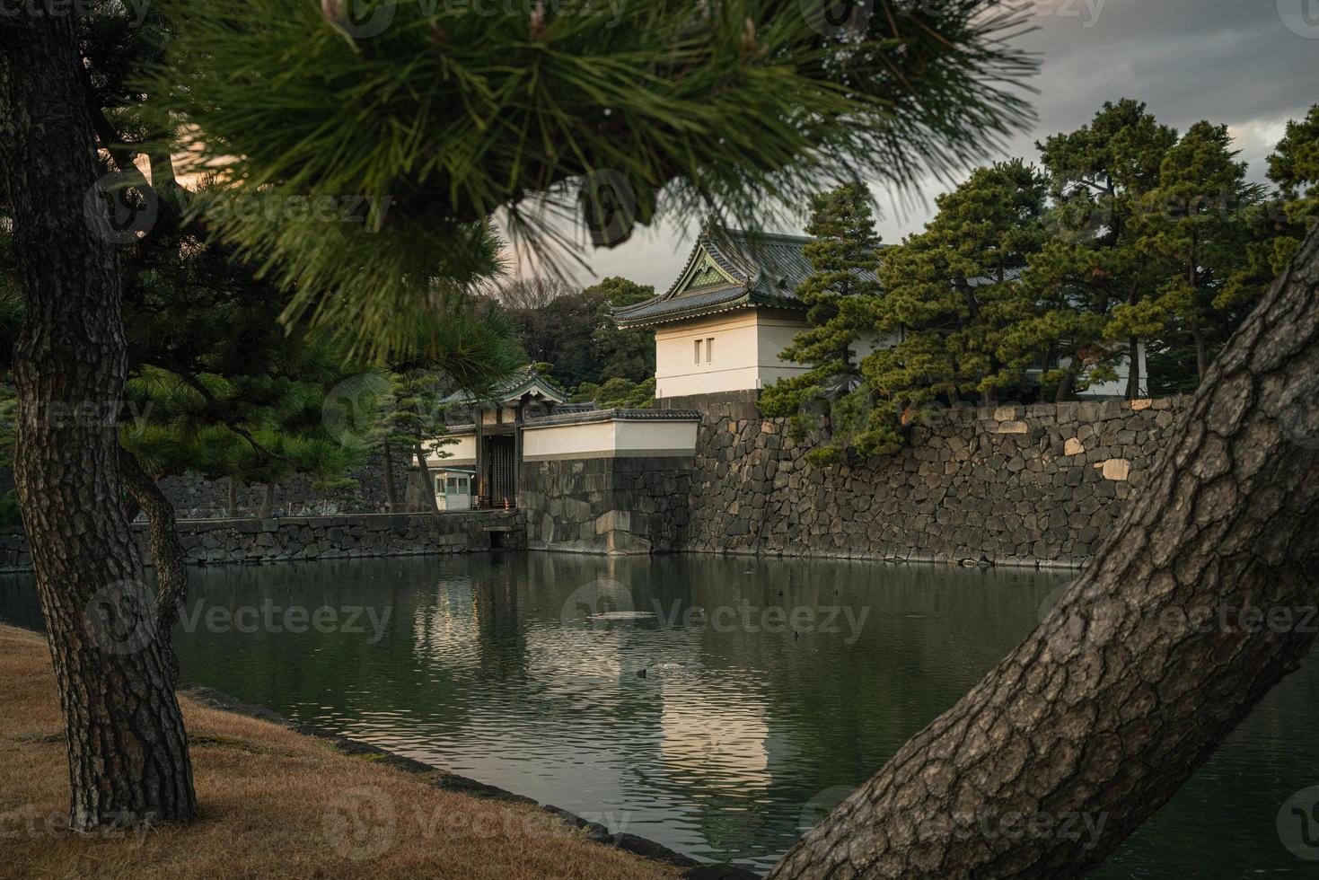 Castillo de Edo en Tokio, Japón en invierno foto