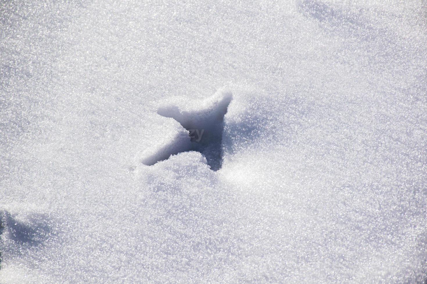 Footprints in the snow photo