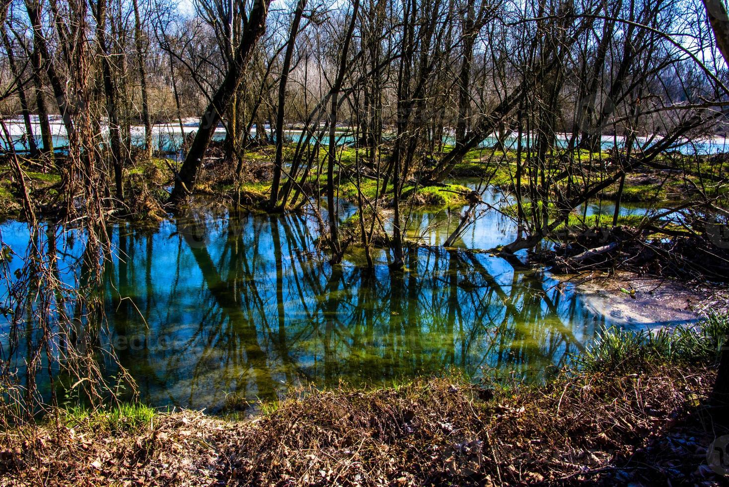 reflejos en el lecho del río foto