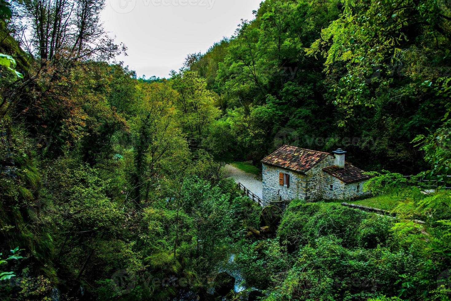 antiguo molino de agua en el bosque foto