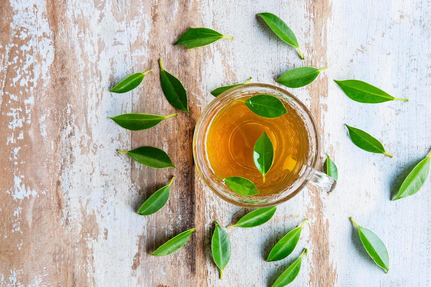 Tea cup and fresh tea leaves on a wooden table photo