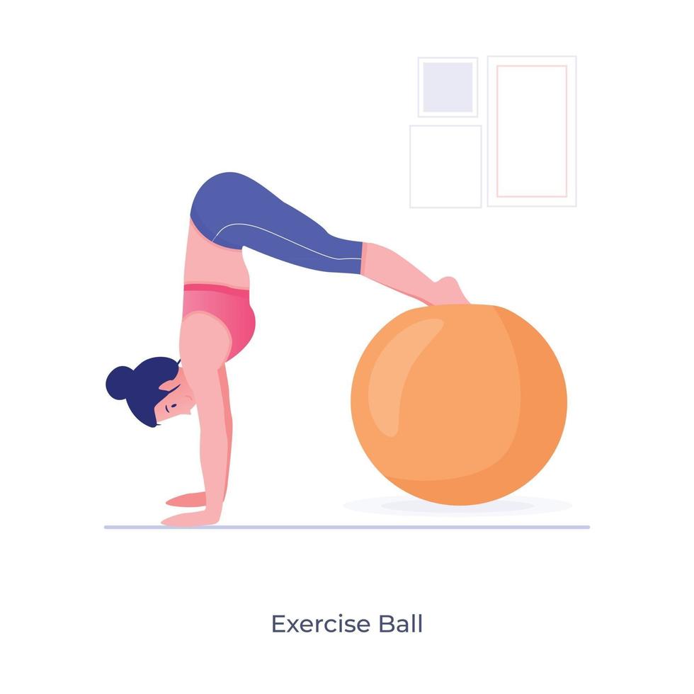 Exercise Ball and workout tool vector