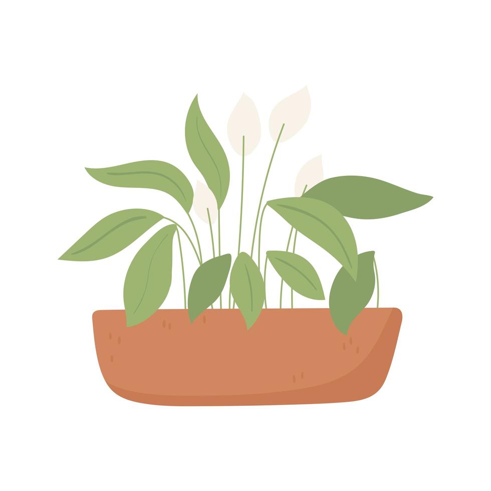 planta en maceta vector