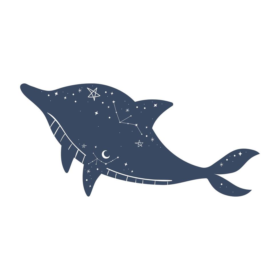 astrología mística delfín vector