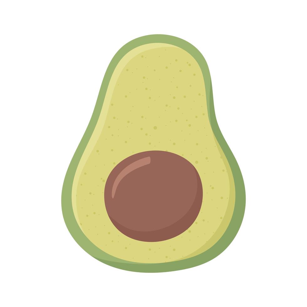 slice avocado fresh vector
