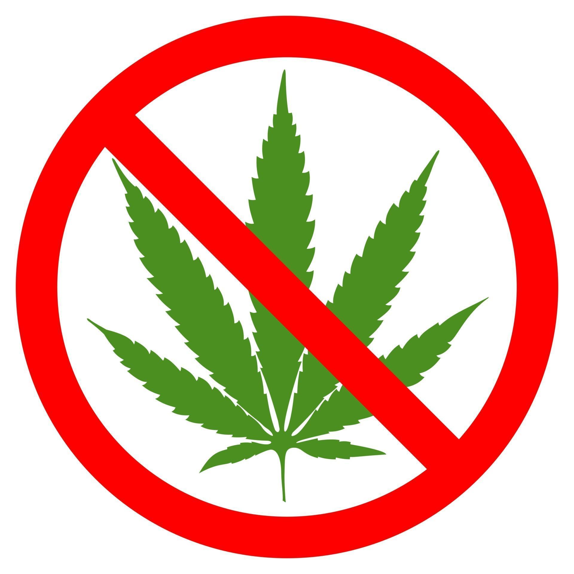 NO marijuana symbolic sign red circle green leaf white background
