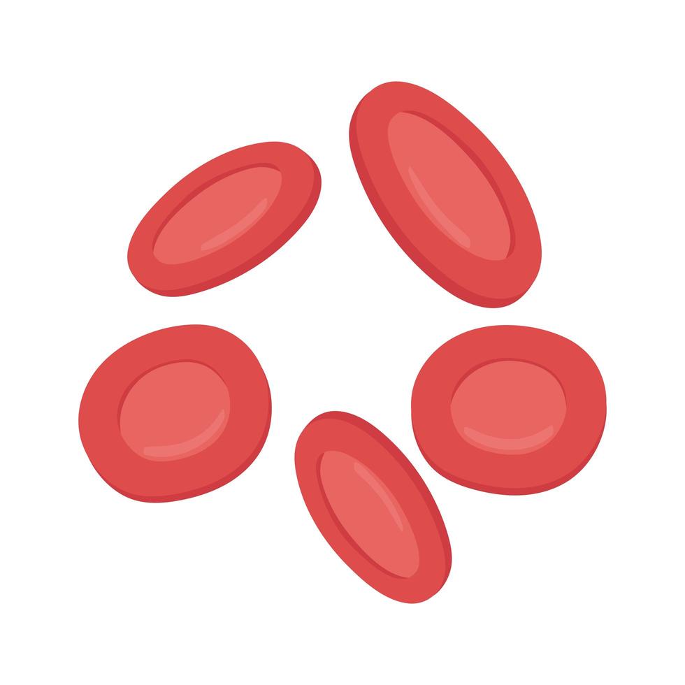 células sanguíneas médicas vector