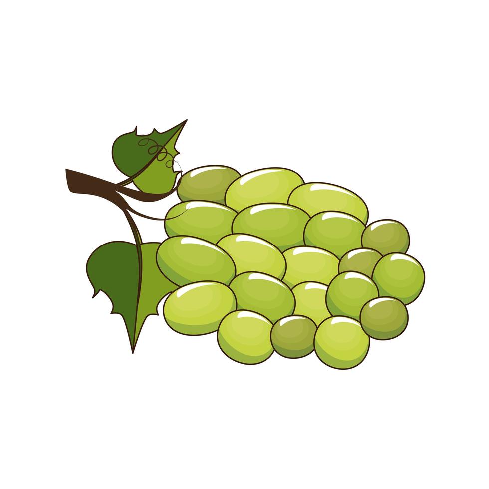 icono de racimo de uvas vector