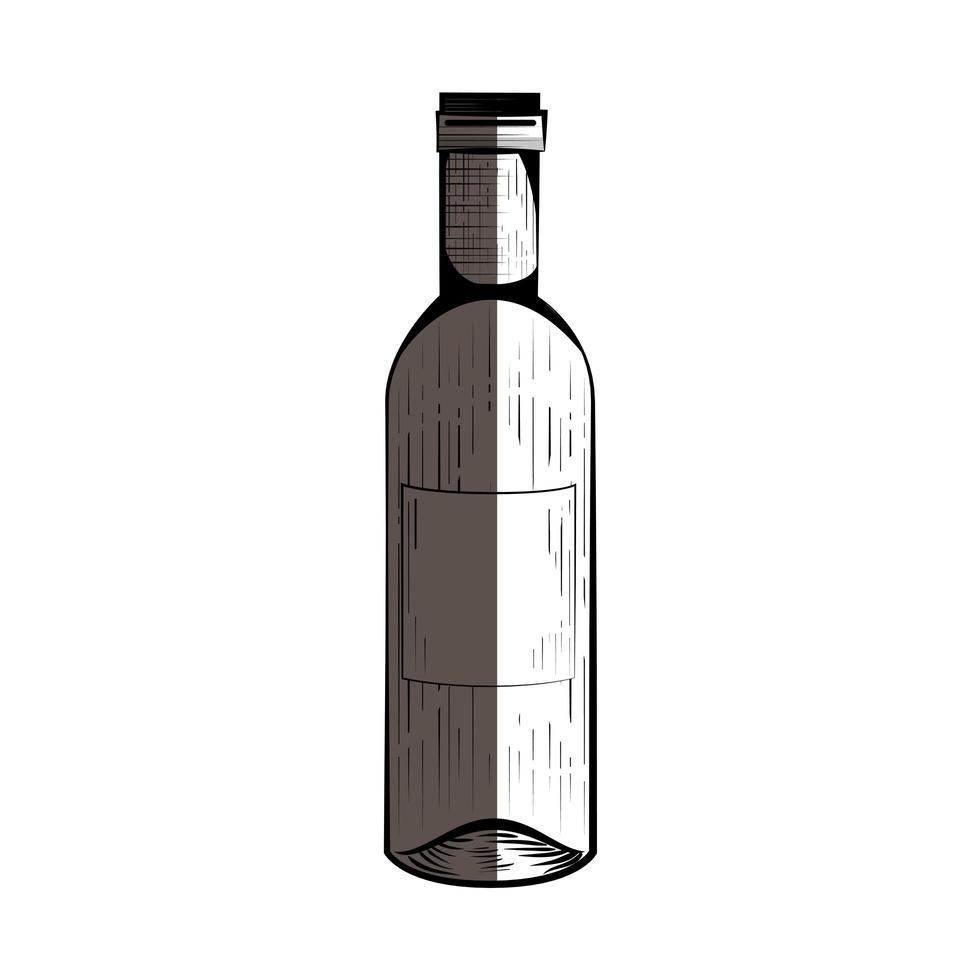 Wine bottle drink vector