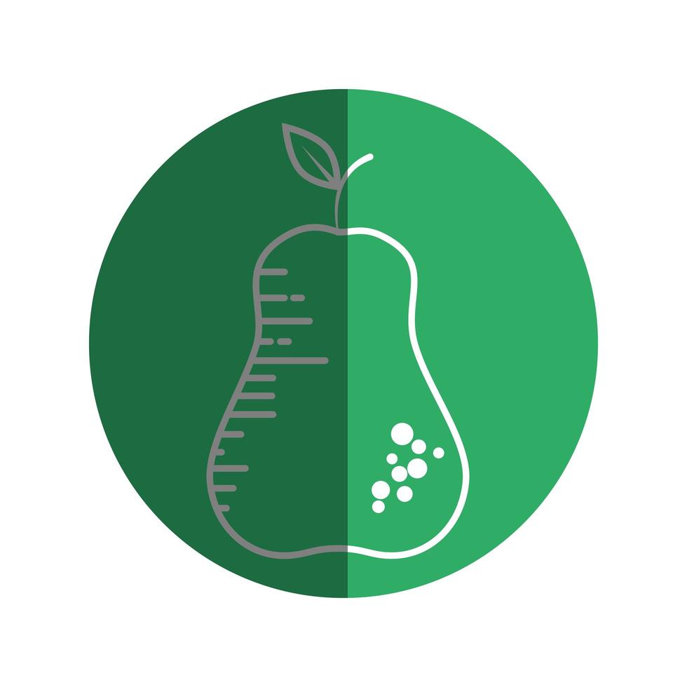 Delicious pear fruit vector