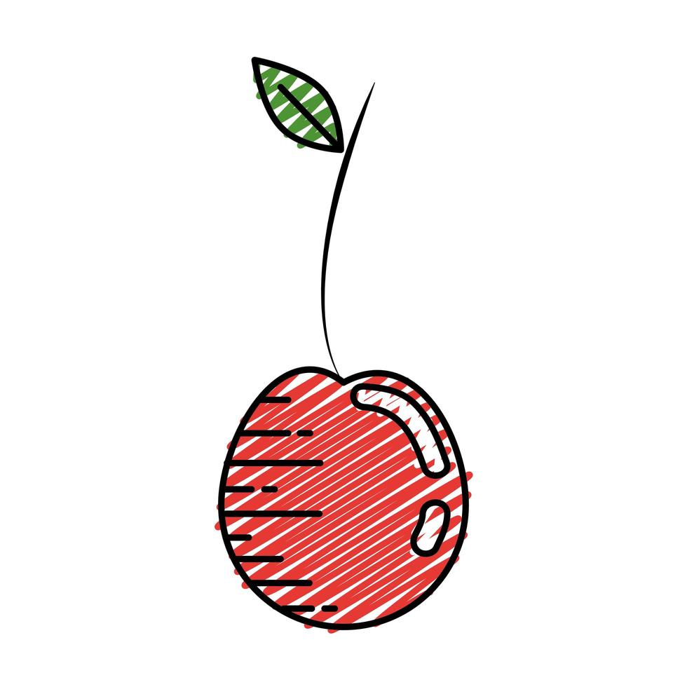 Delicious and sweet cherry vector