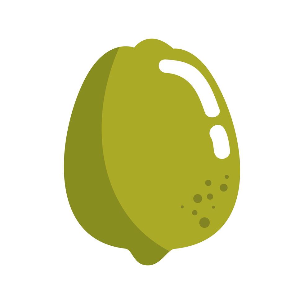 Healthy fruits design vector