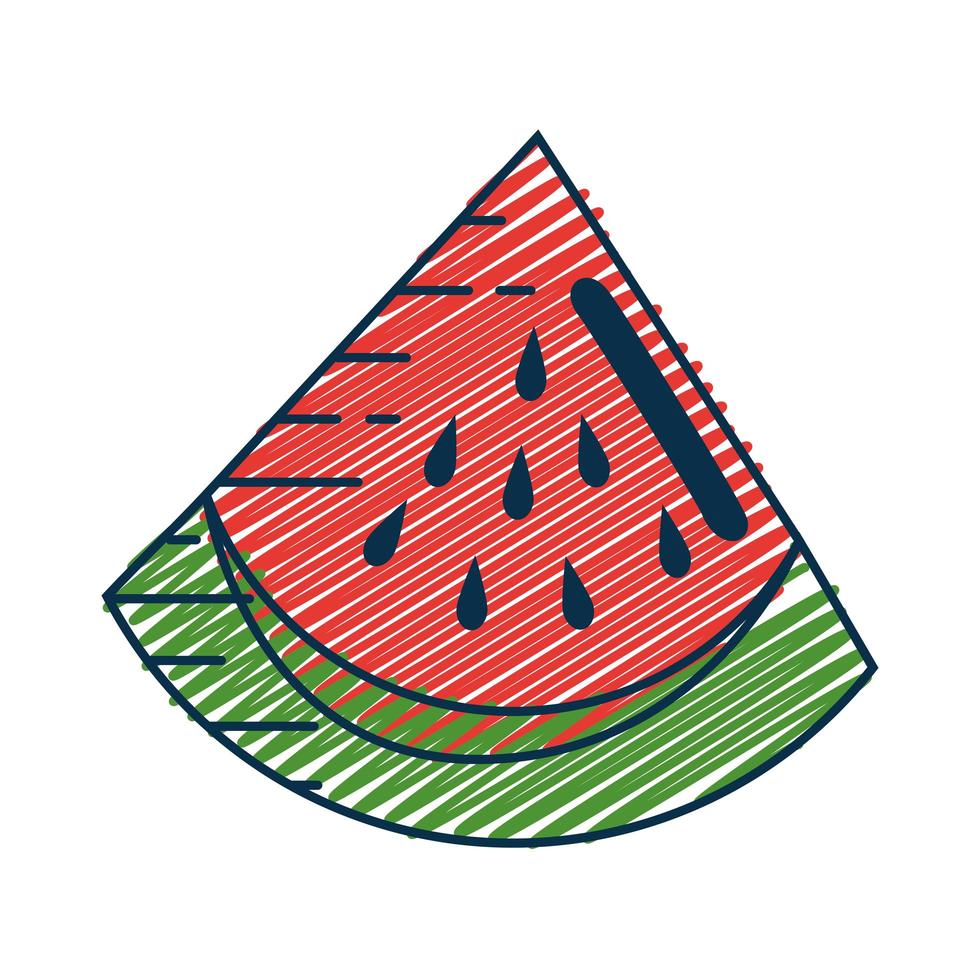 Delicious watermelon fruit vector