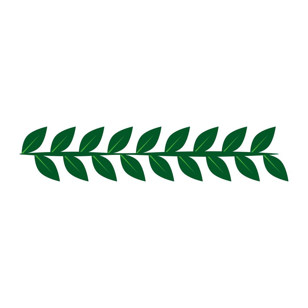 decorative leaves icon vector