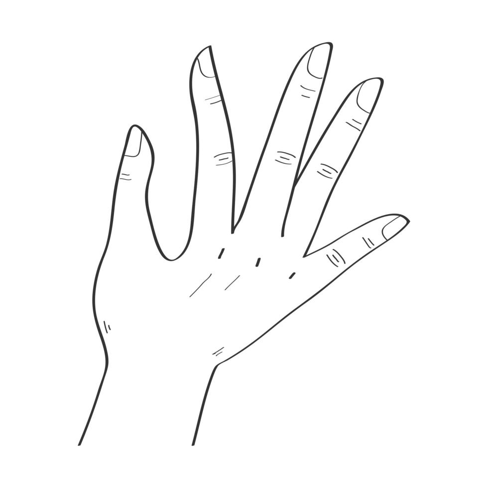 q hand expression vector